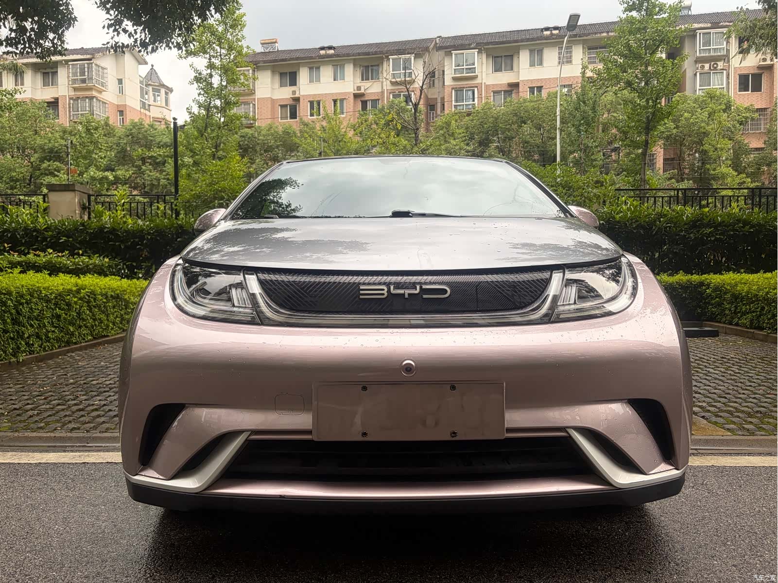 BYD Dolphin, 2021 2