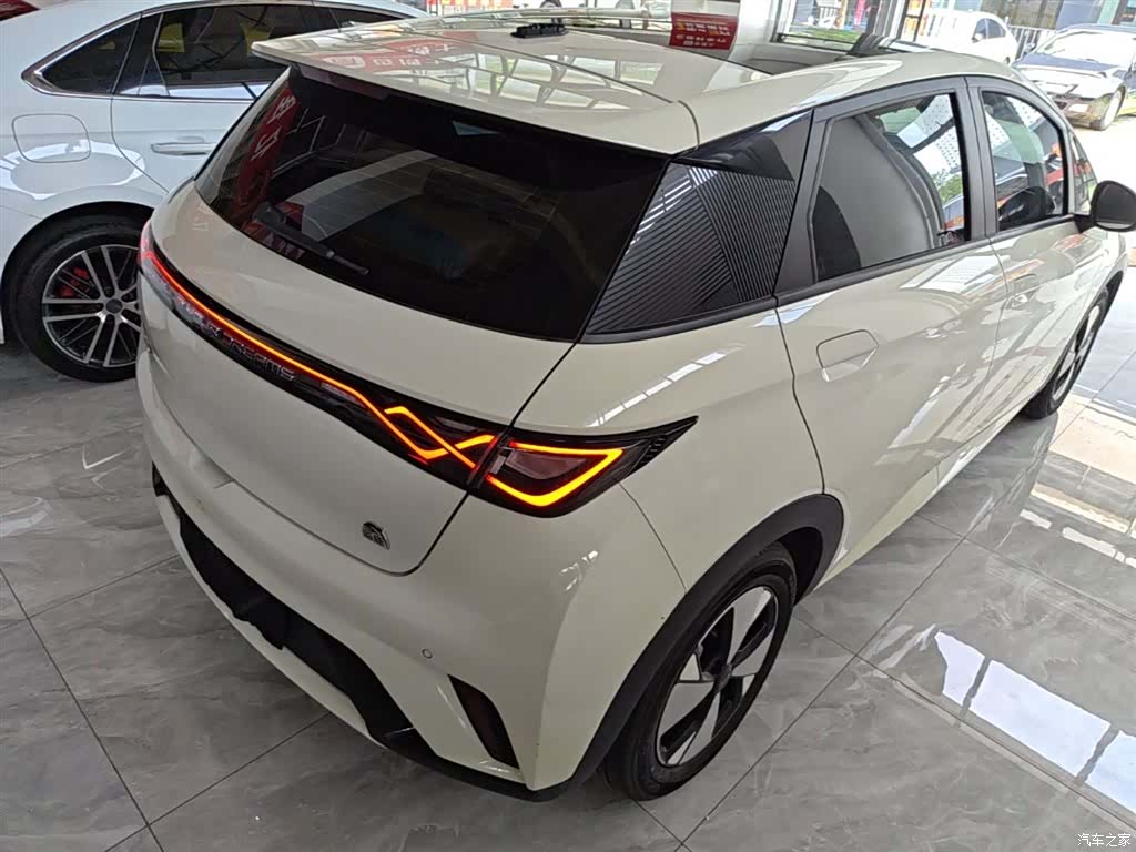 BYD Dolphin, 2024 7