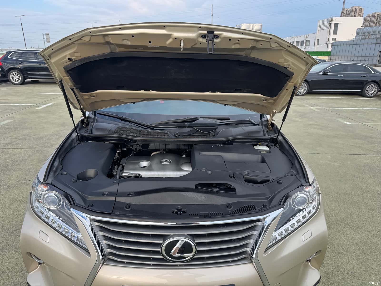 Lexus RX, 2013 12
