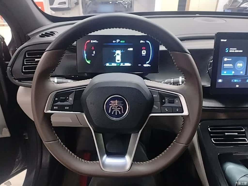 BYD Qin, 2024 11