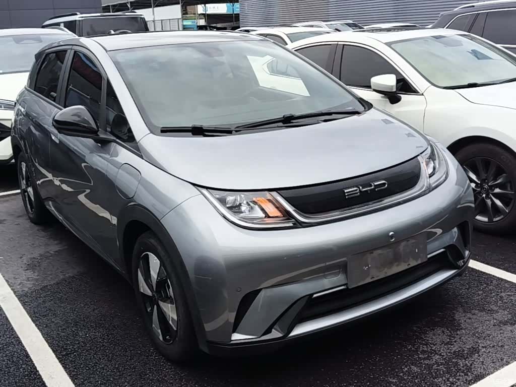 BYD Dolphin, 2023 4