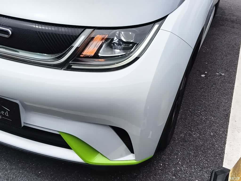 BYD Dolphin, 2022 24