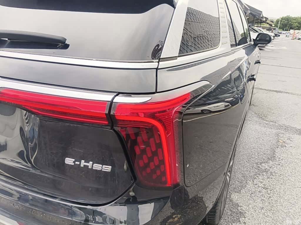 Hongqi E-HS9, 2023 8