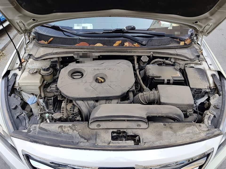 Hyundai Name picture