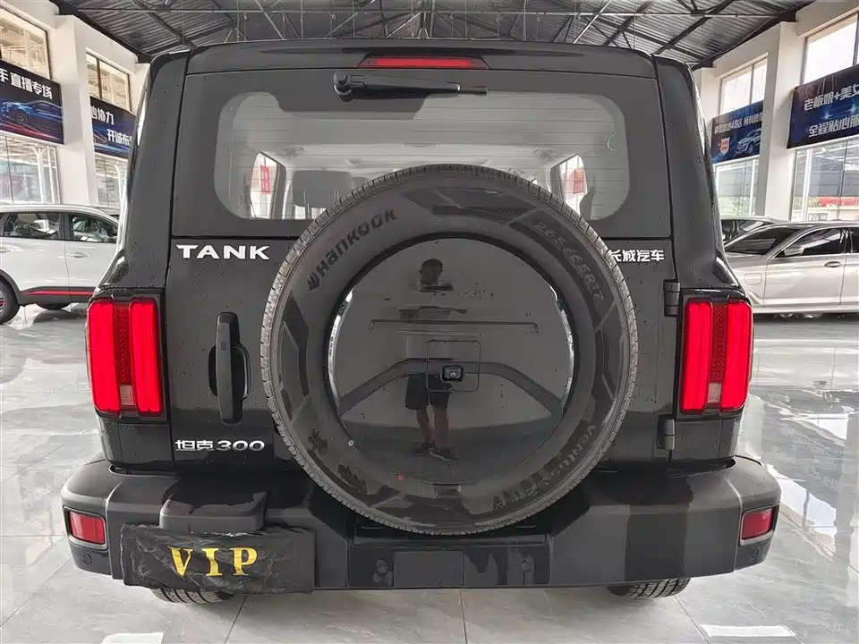 Tank 300