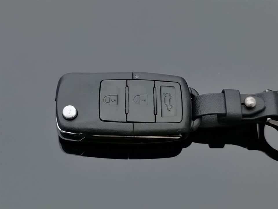 Forthing Lingzhi PLUS