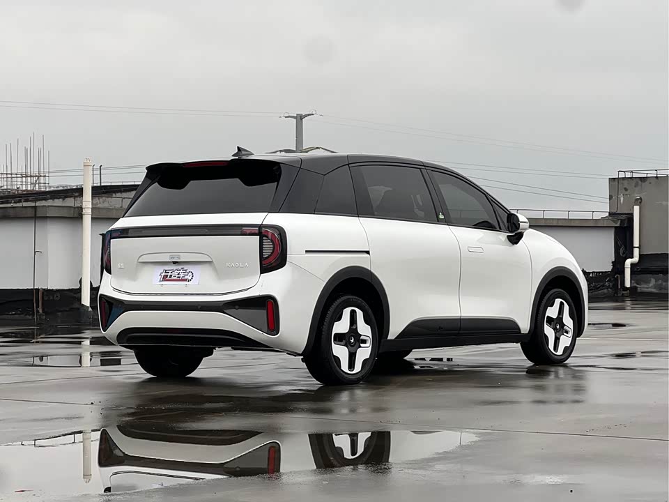 ARCFOX Polar fox koala