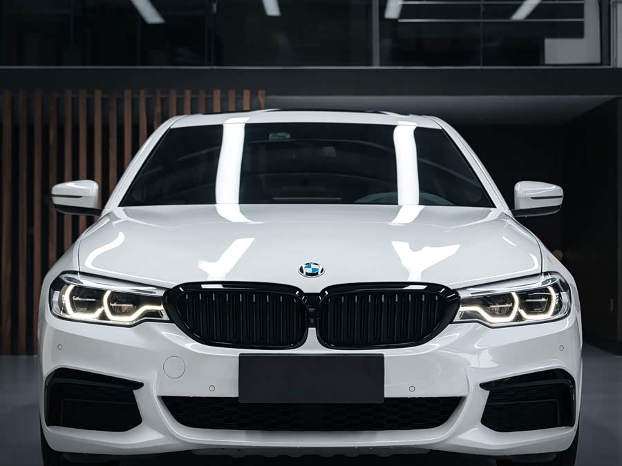 BMW 5 Series 2020, фото 2