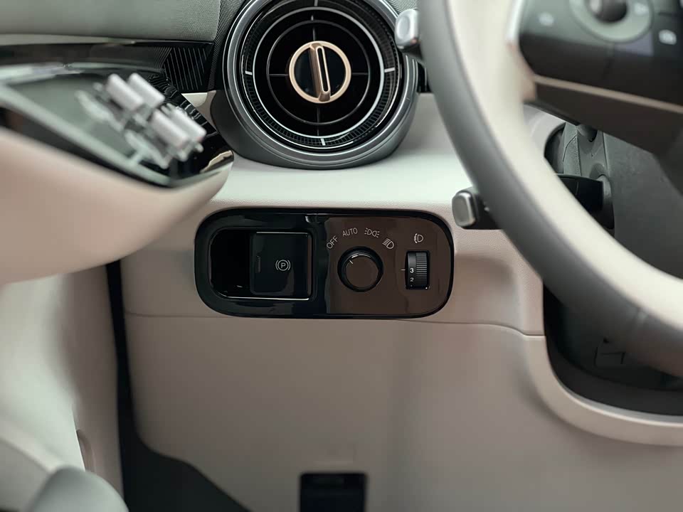 ARCFOX Polar fox koala