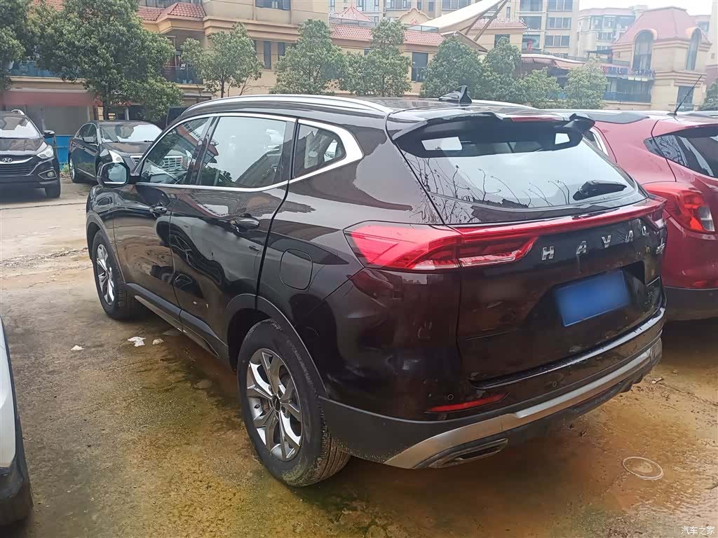 Haval H6, 2022 все фото