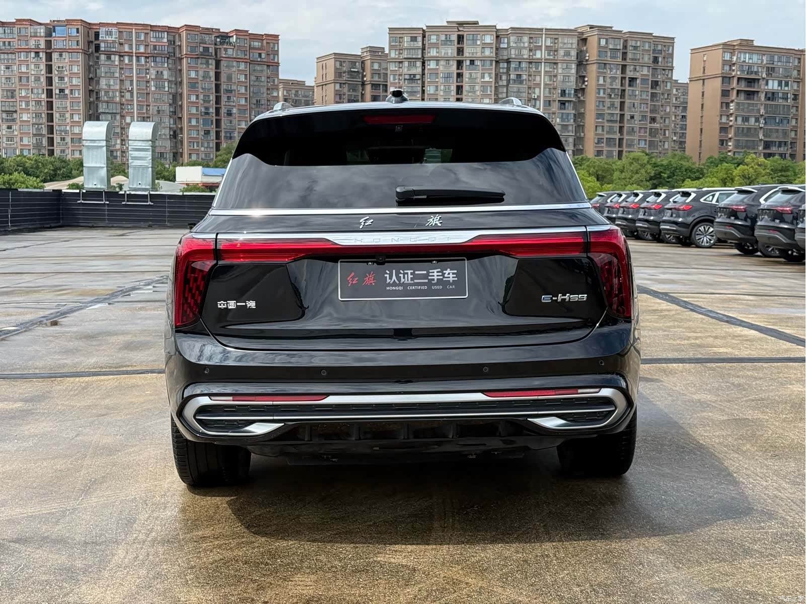 Hongqi E-HS9, 2023 все фото