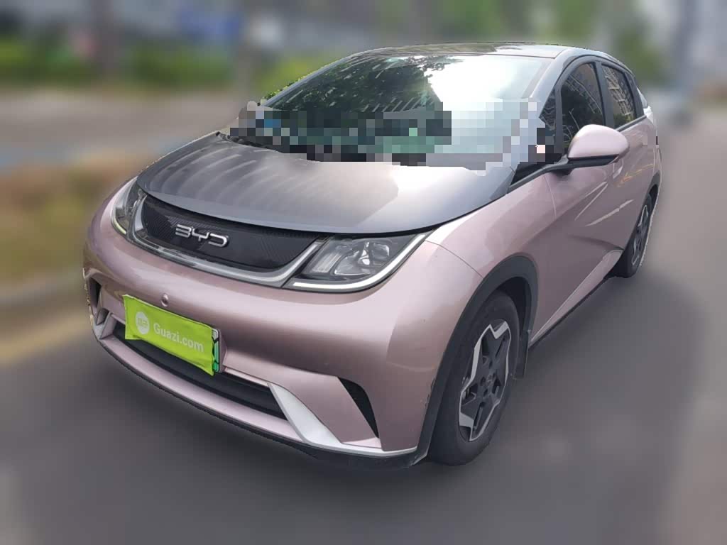 BYD Dolphin
