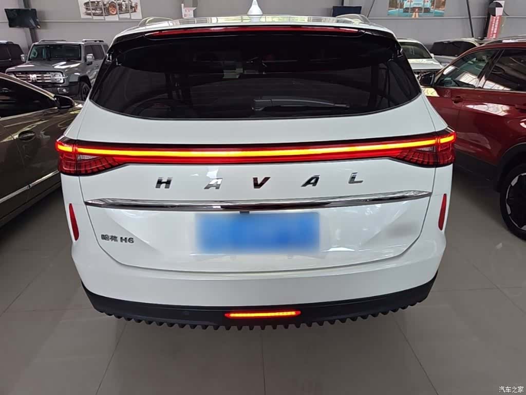 Haval H6, 2024 6