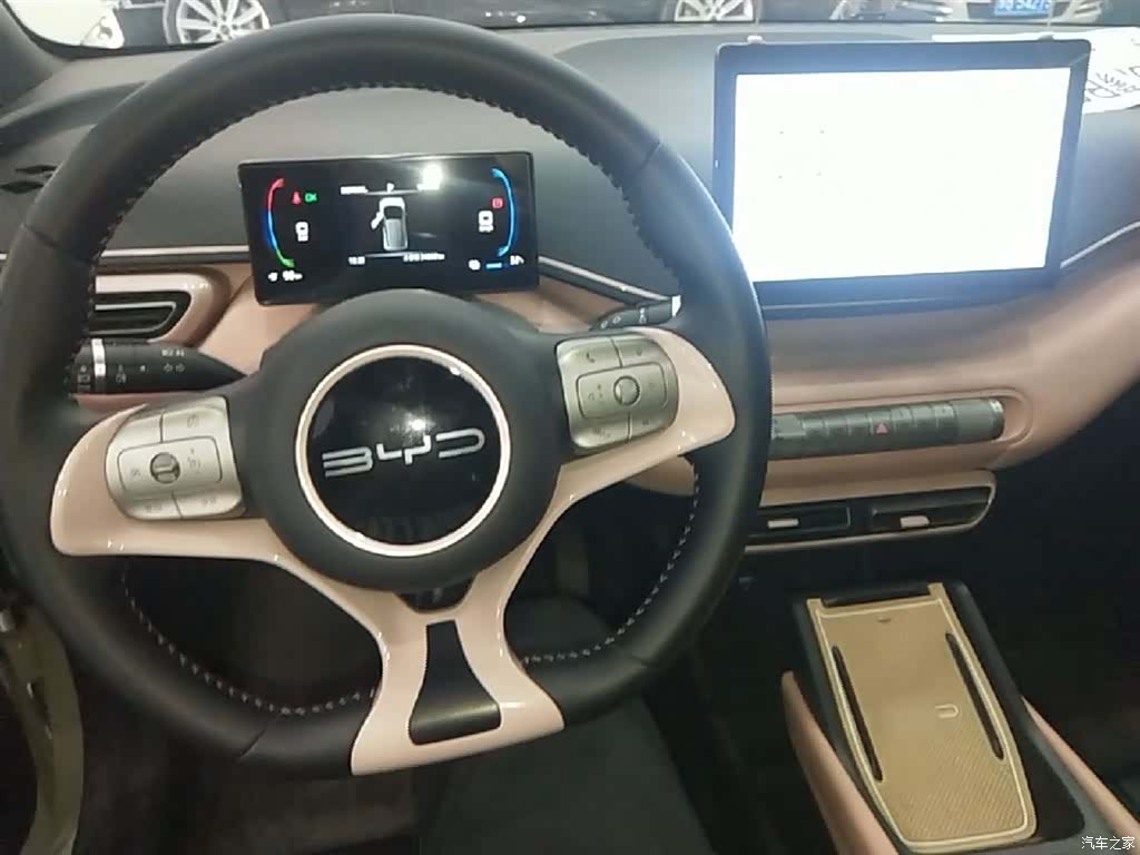 BYD Seagull, 2023 10