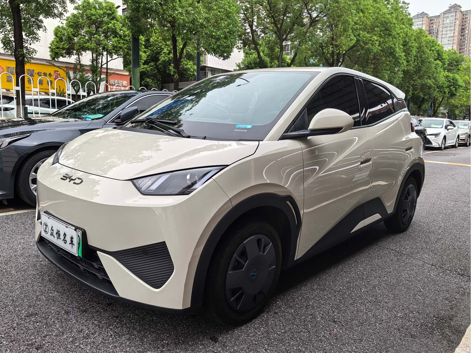 BYD Seagull, 2025 1