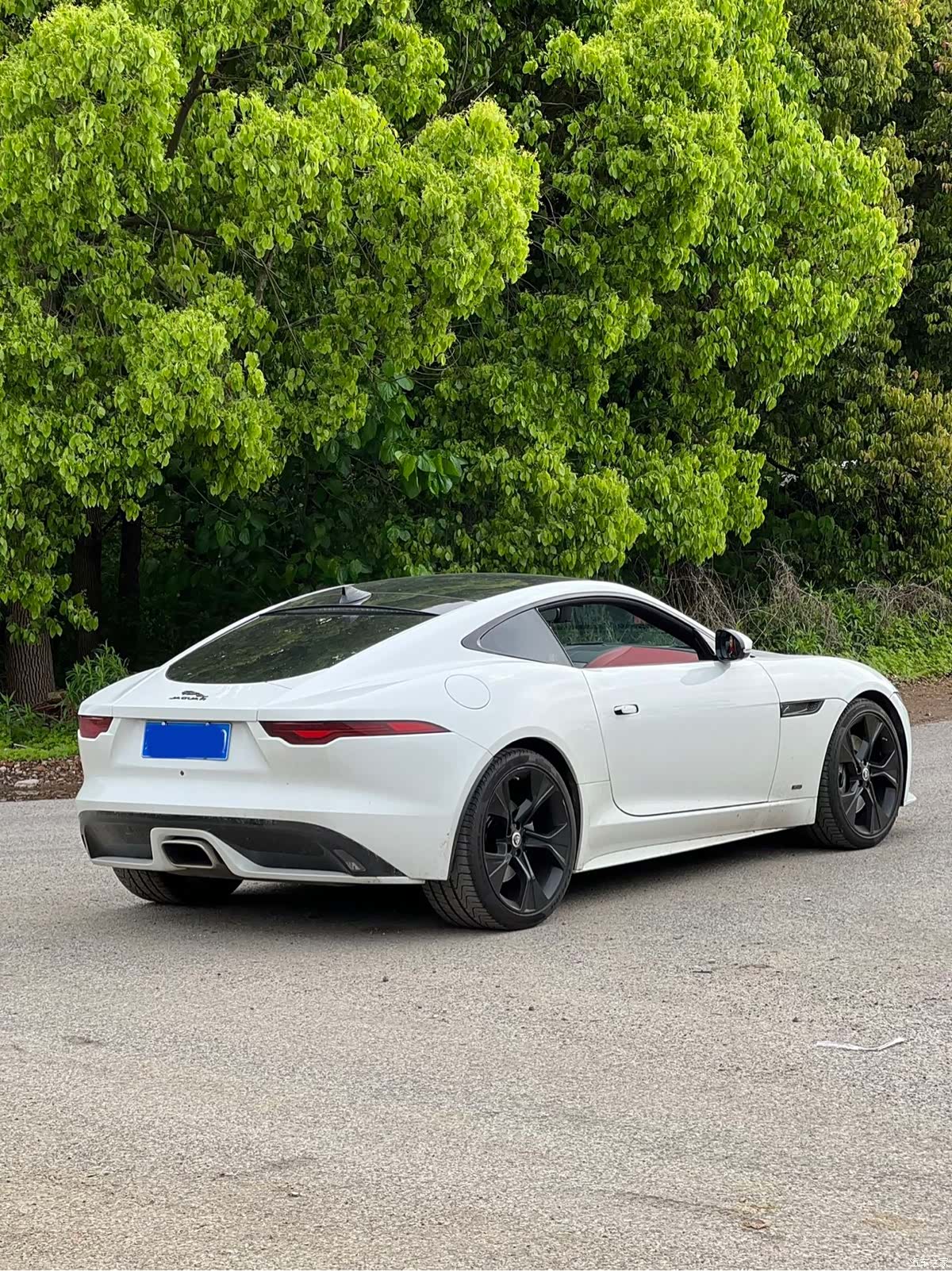 Jaguar F-TYPE, 2025 все фото