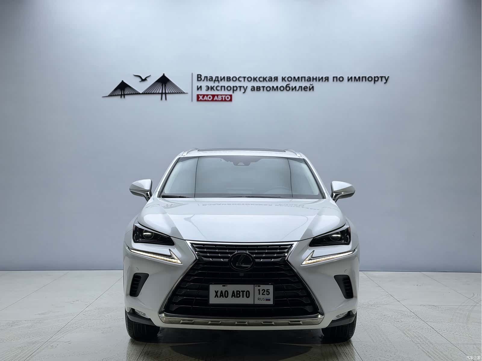 Lexus NX, 2019 2