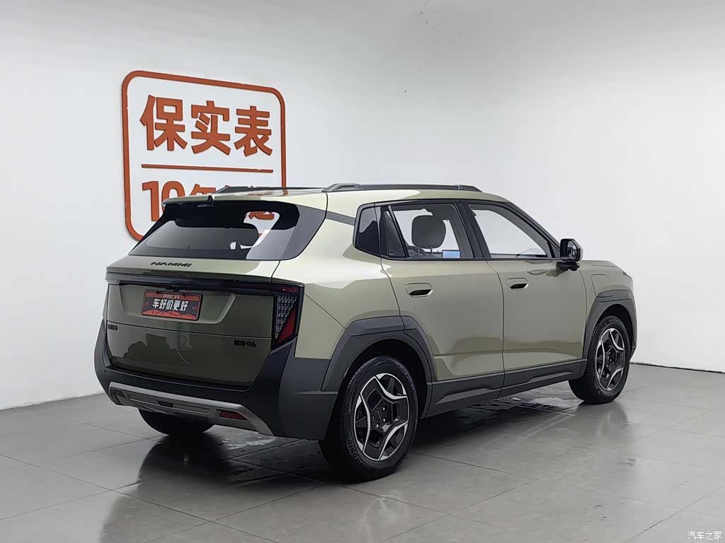 DongFeng 06, 2025 2