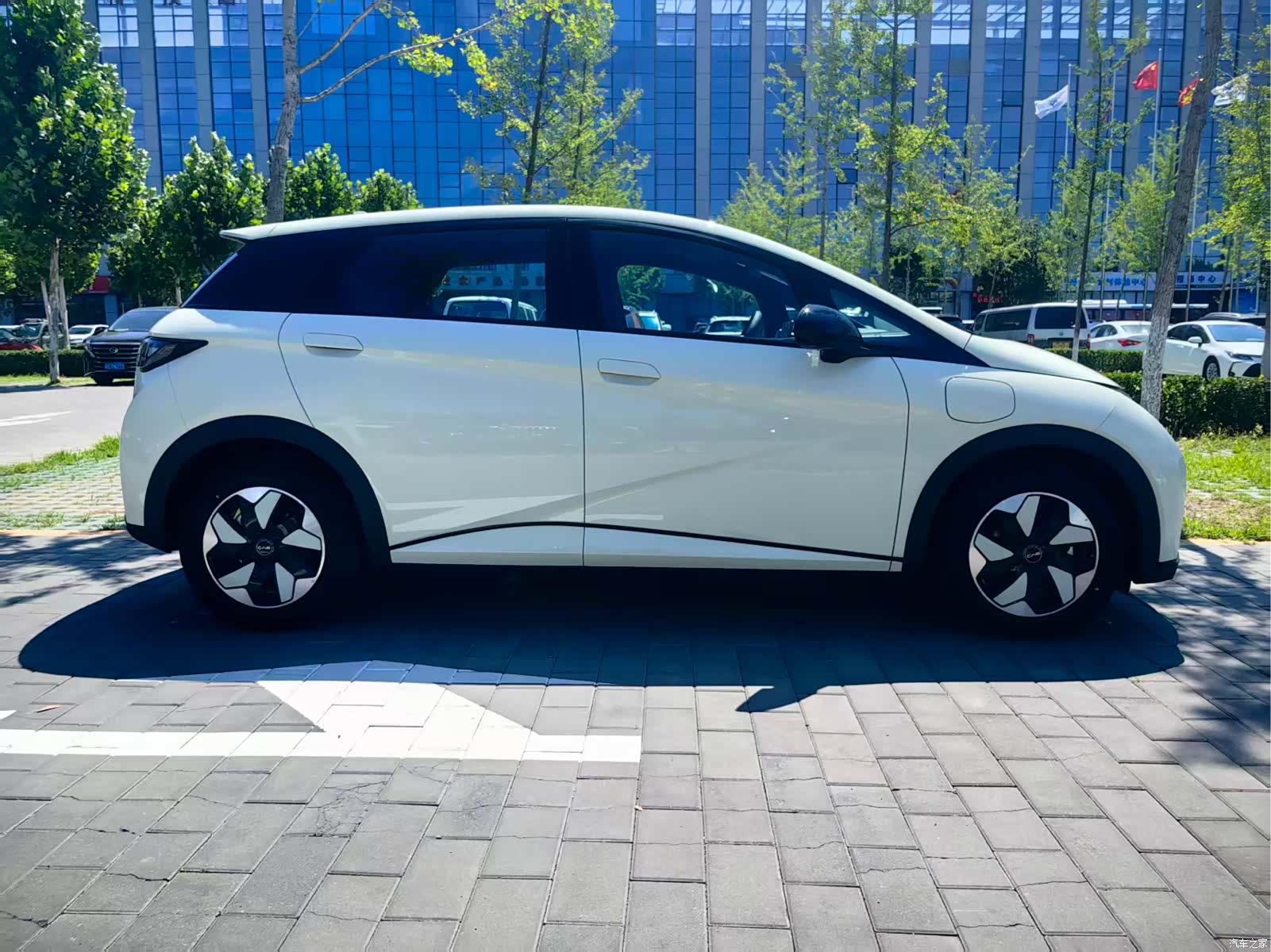 BYD Dolphin, 2026 2