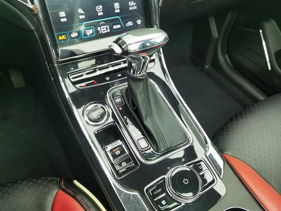 Leopaard Cheetah CS9