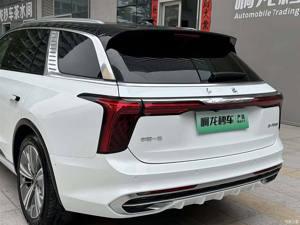 Hongqi E-HS9, 2023 22