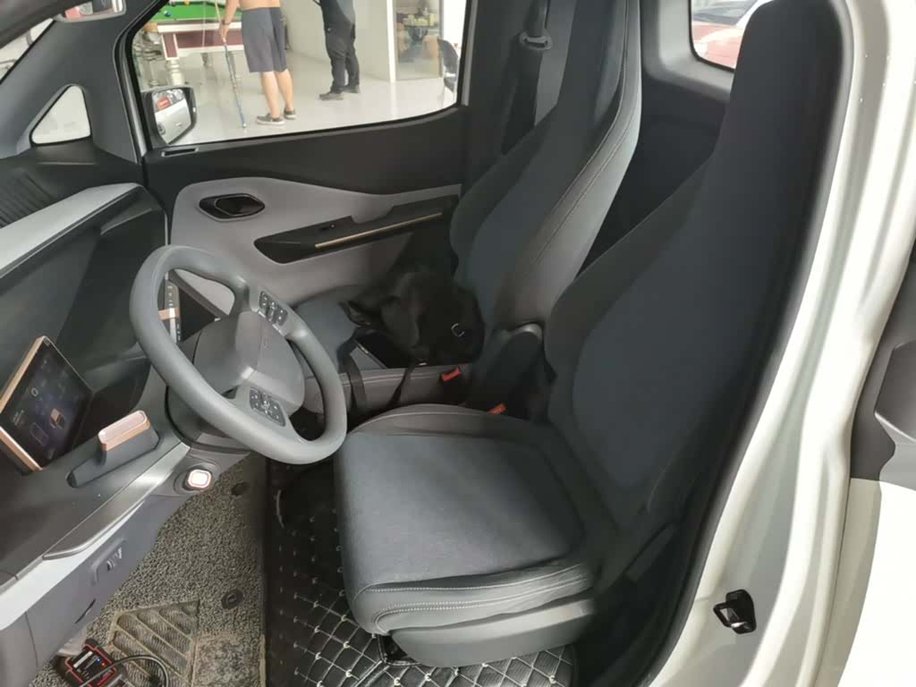Wuling E200, 2019 15