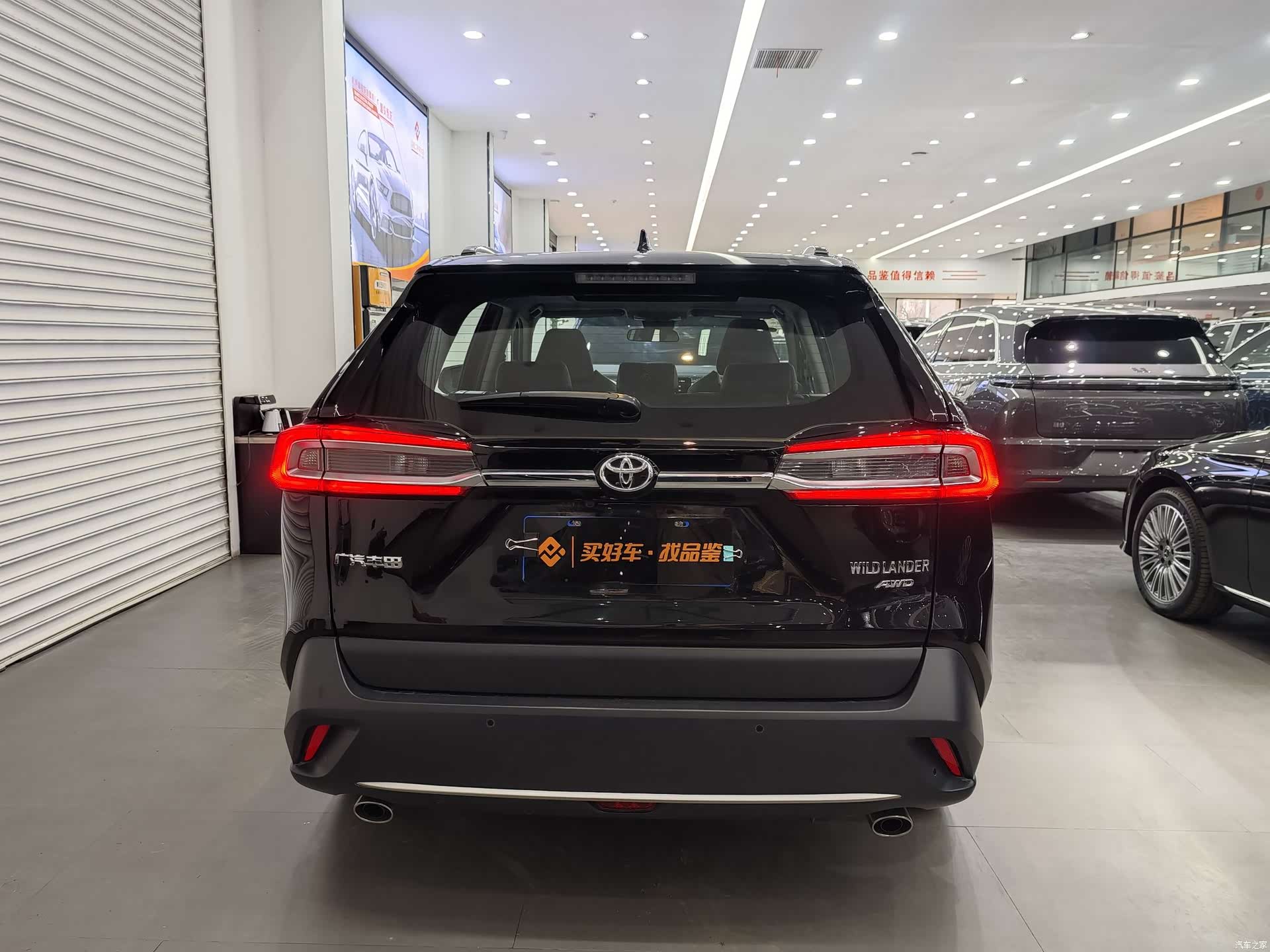 Toyota Wildlander, 2023 10