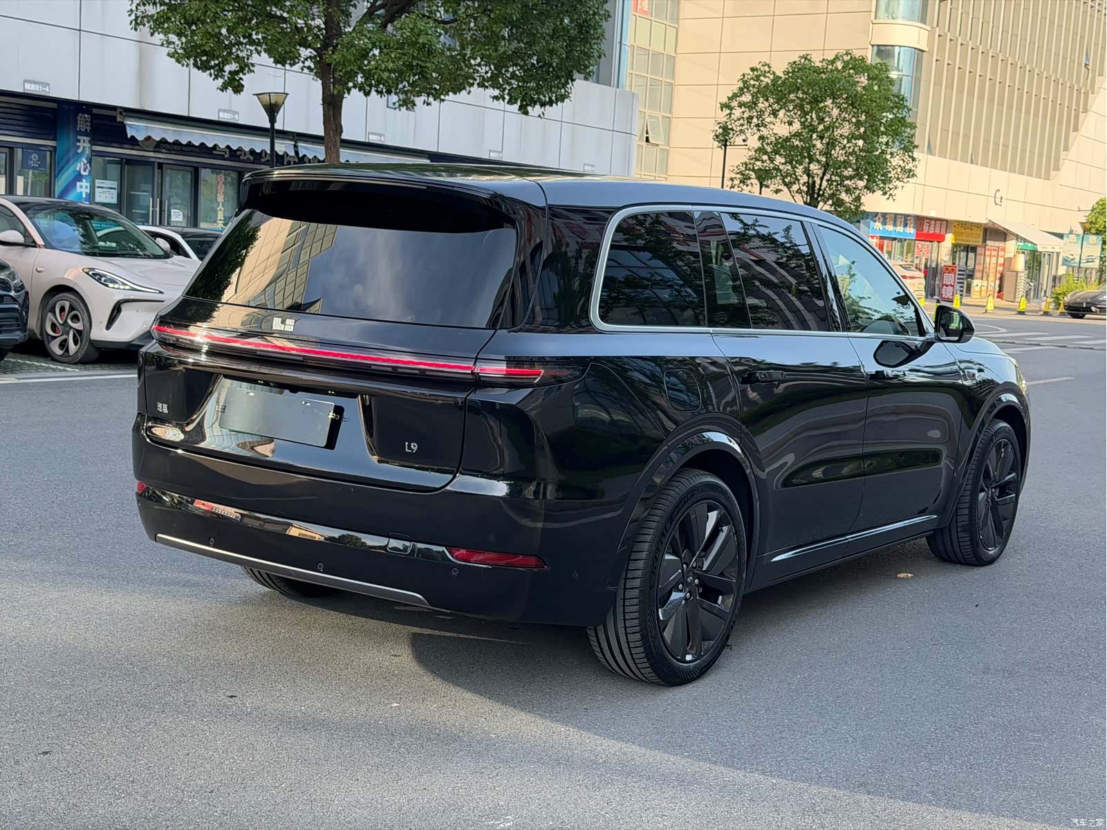 Li Auto L9, 2023 7