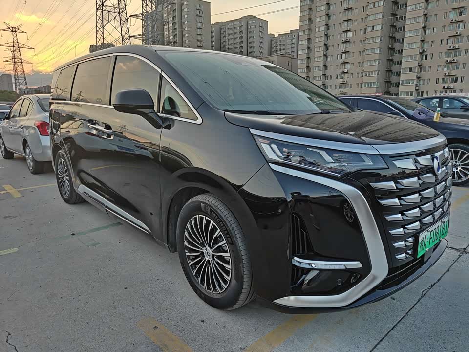 Denza D9