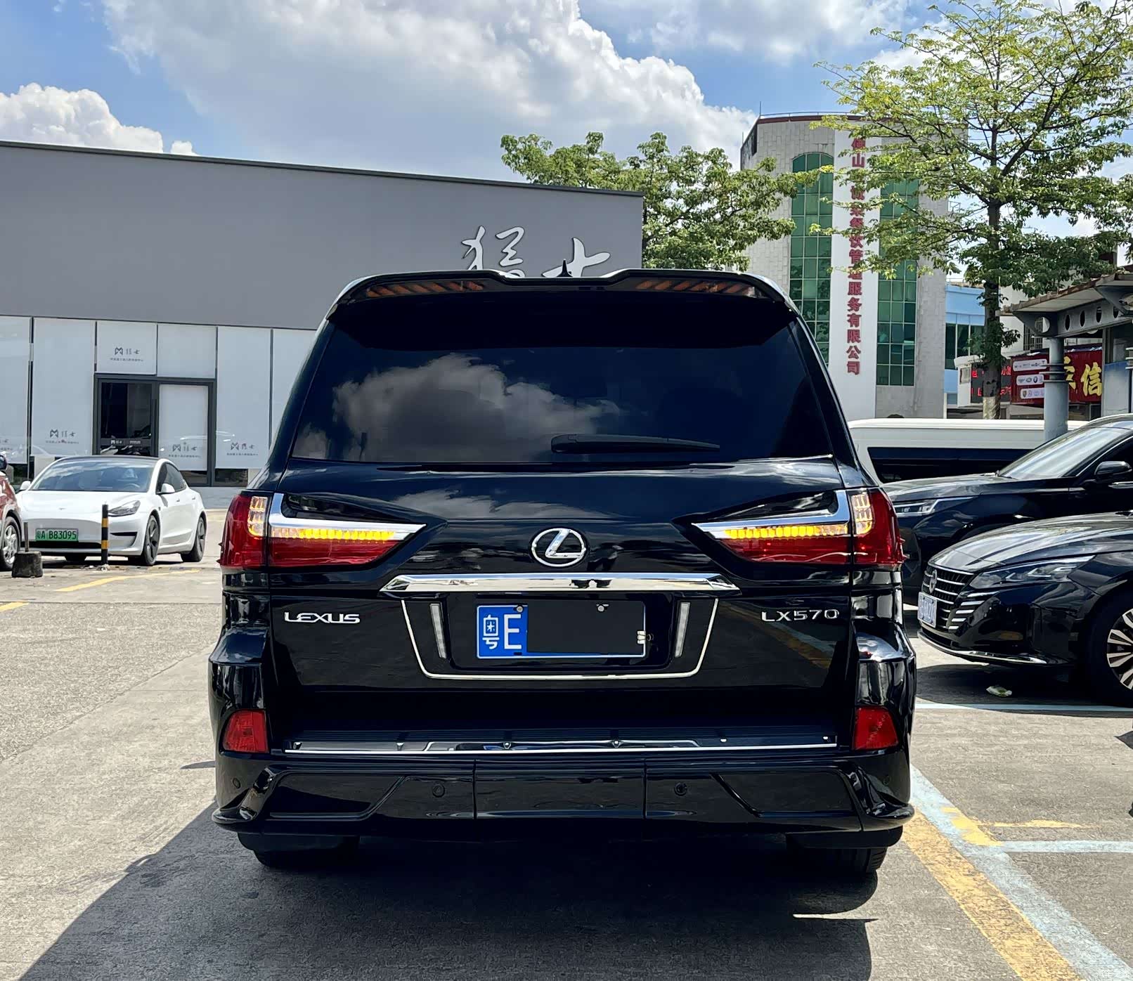 Lexus LX, 2011 все фото