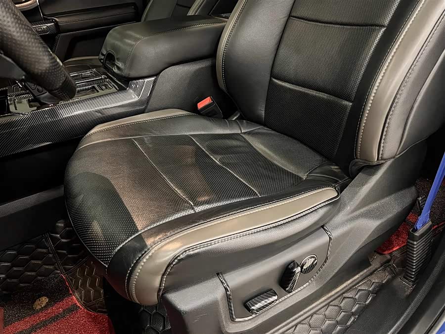 Ford F-150 Raptor 2019, фото 17