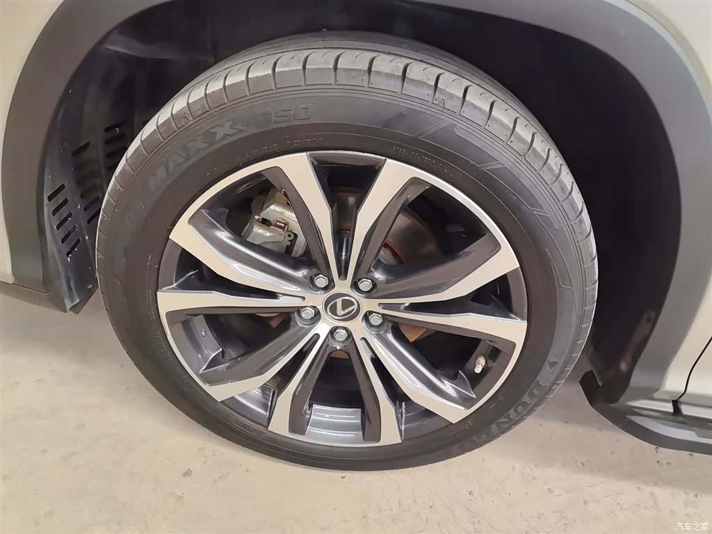 Lexus RX, 2021 23