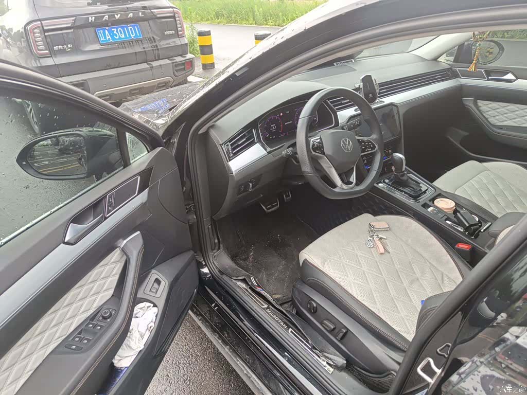 Volkswagen Magotan, 2024 12