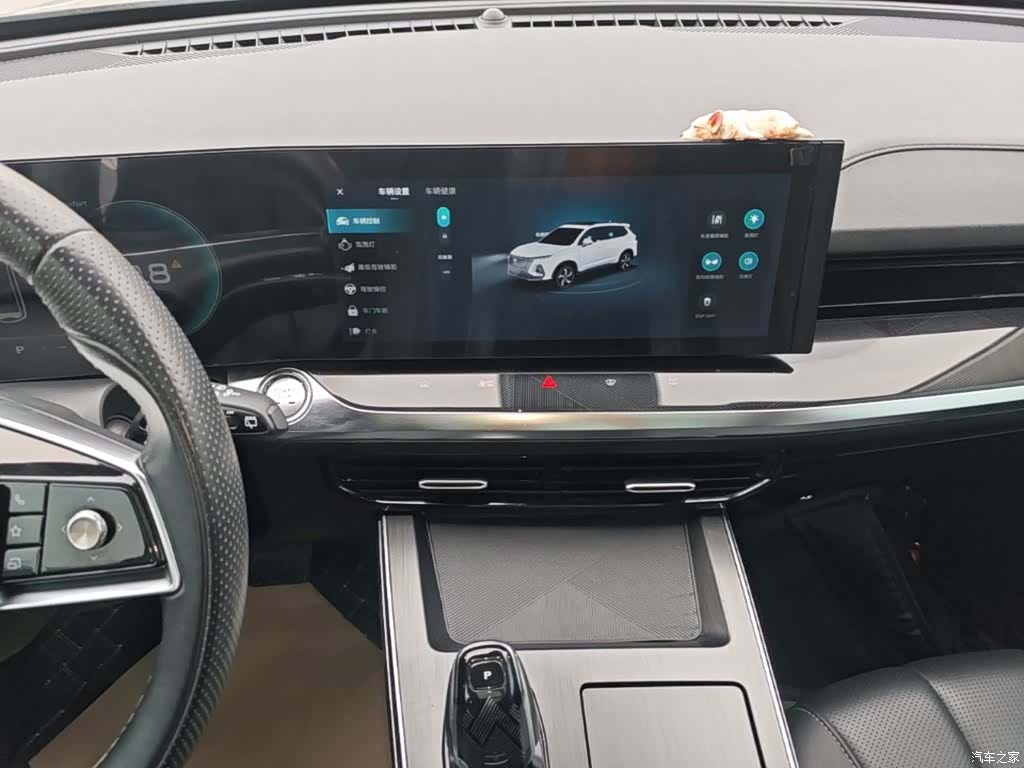 Roewe RX5, 2022 13