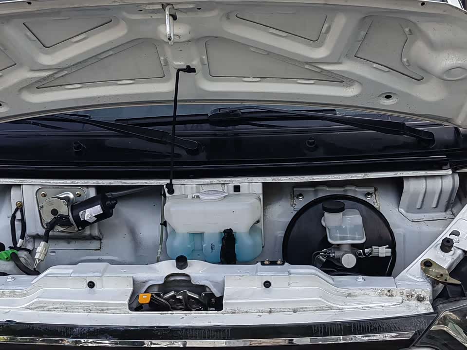 Golden Dragon Sea lion