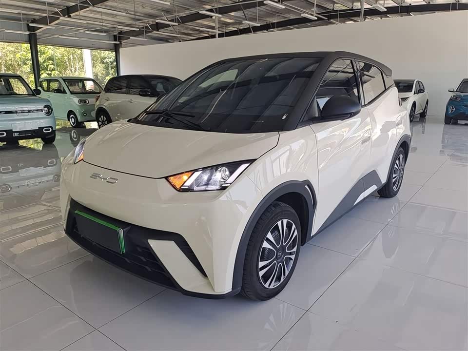 BYD Seagull