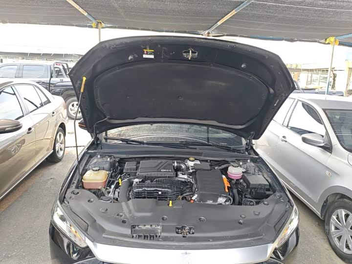 BYD Qin Plus 2023 guan jun ban DM-i 55KM Leading