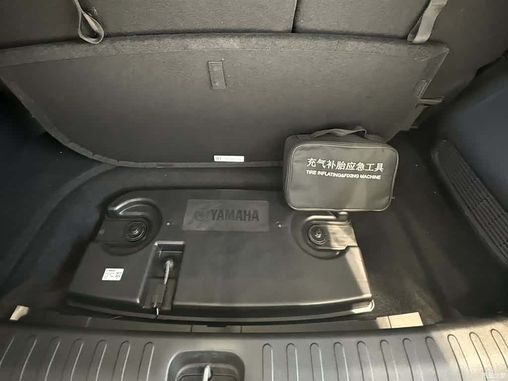 Trumpchi E9, 2025 все фото