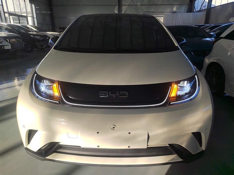 BYD dolphin