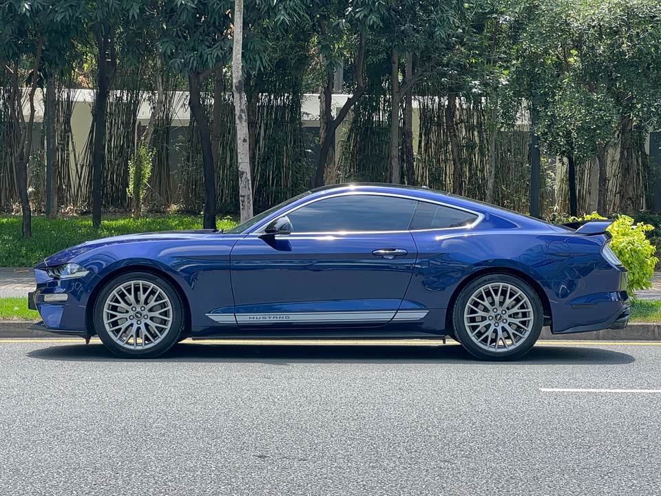 Ford Mustang Ford Mustang
