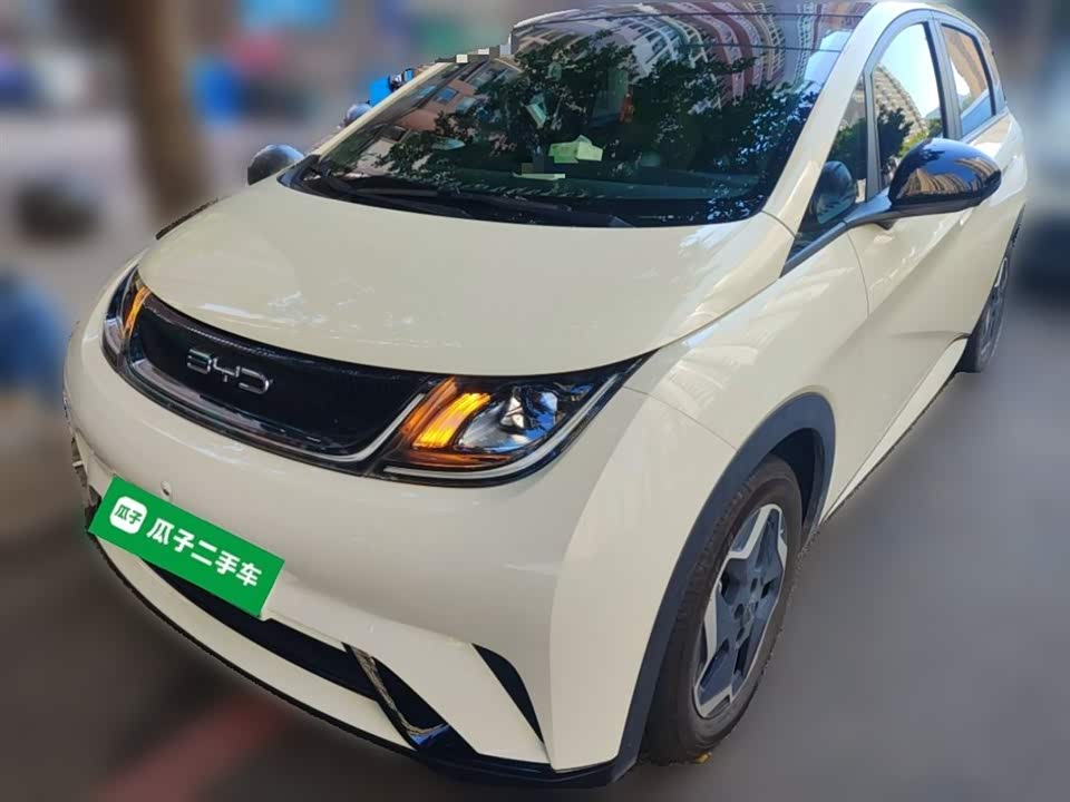 BYD dolphin