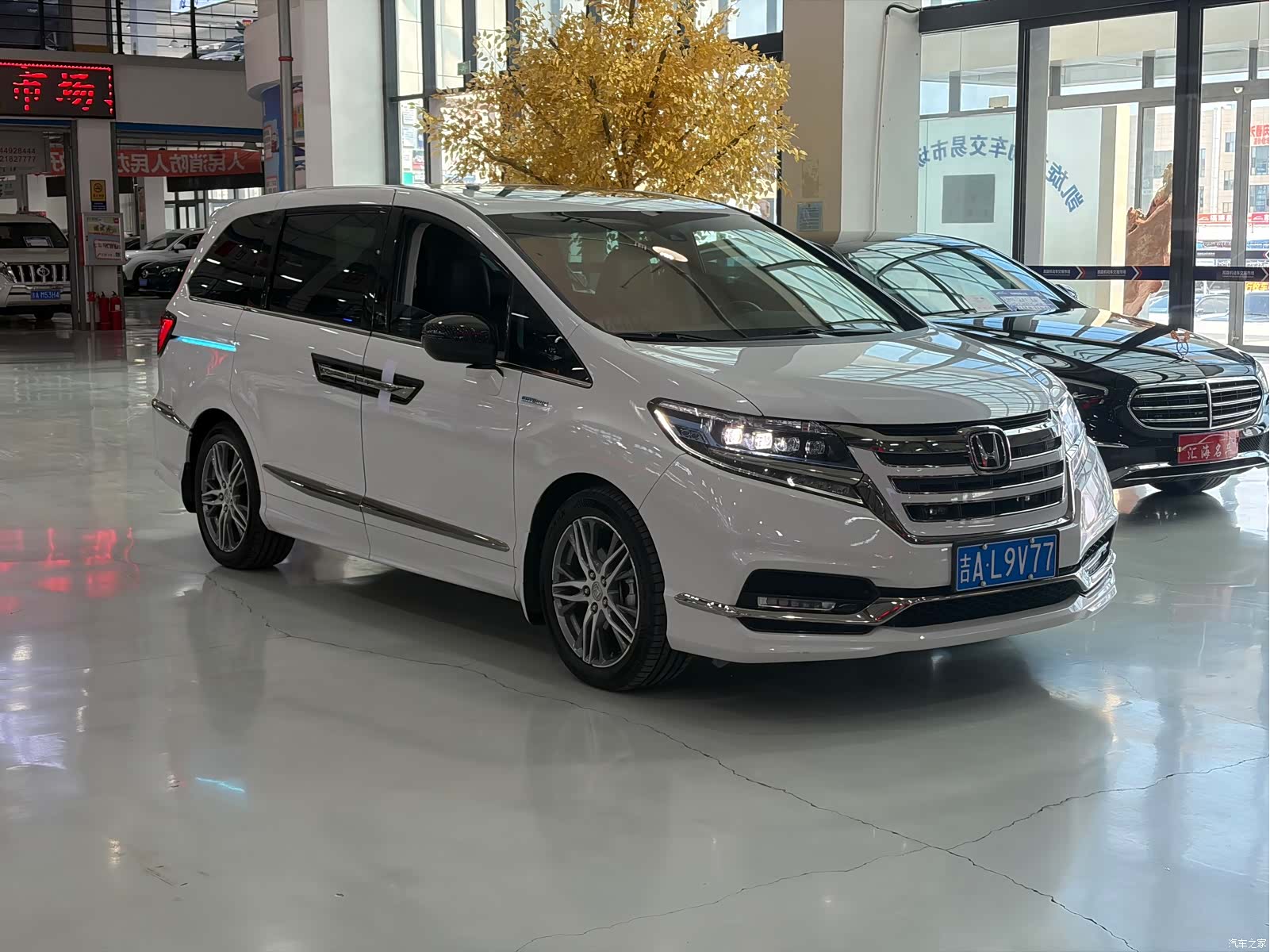 Honda Elysion, 2021 3