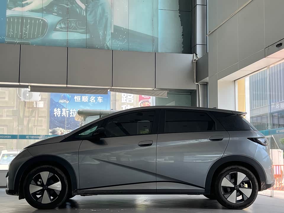 BYD dolphin