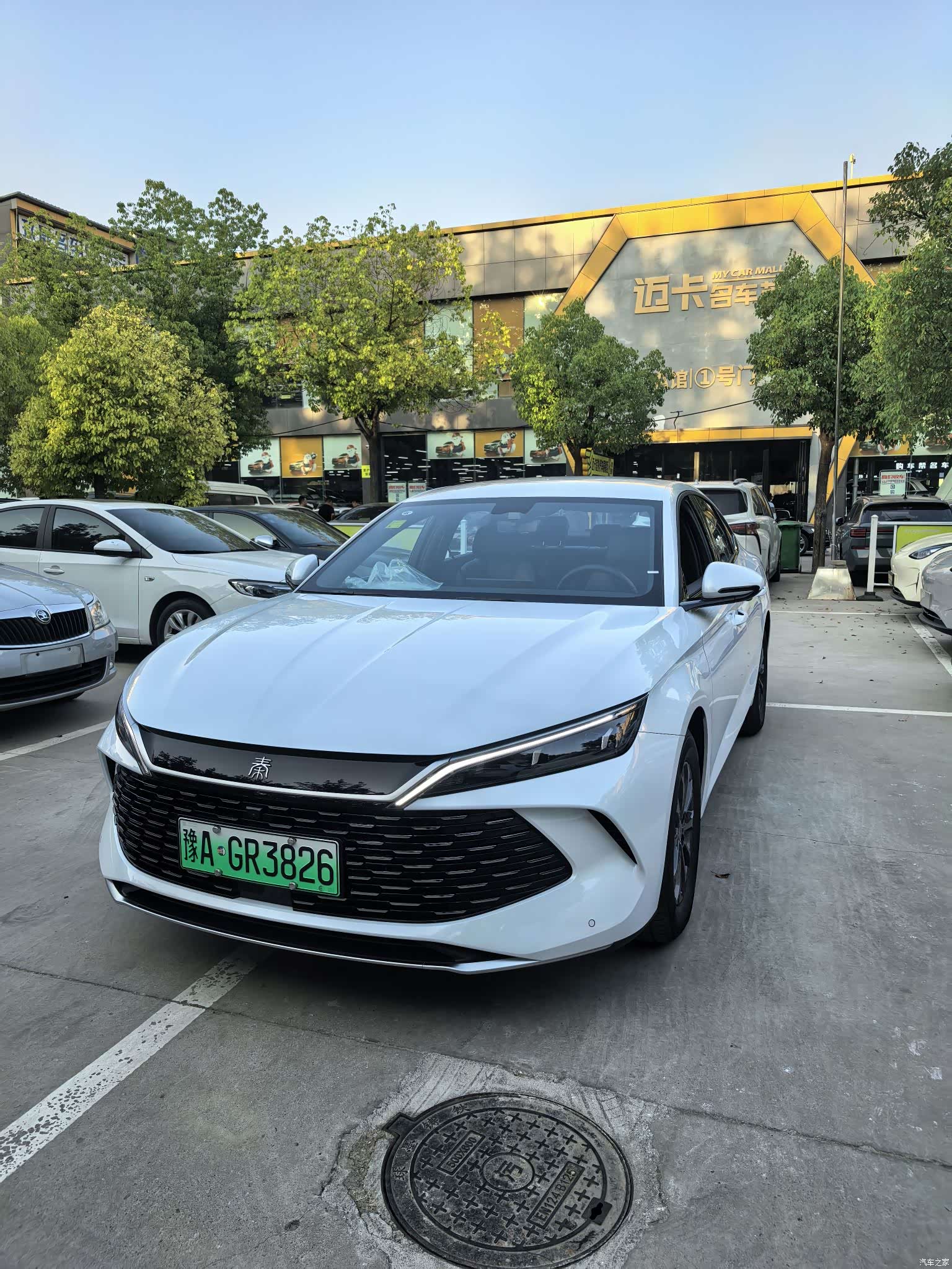 BYD Qin, 2026 1