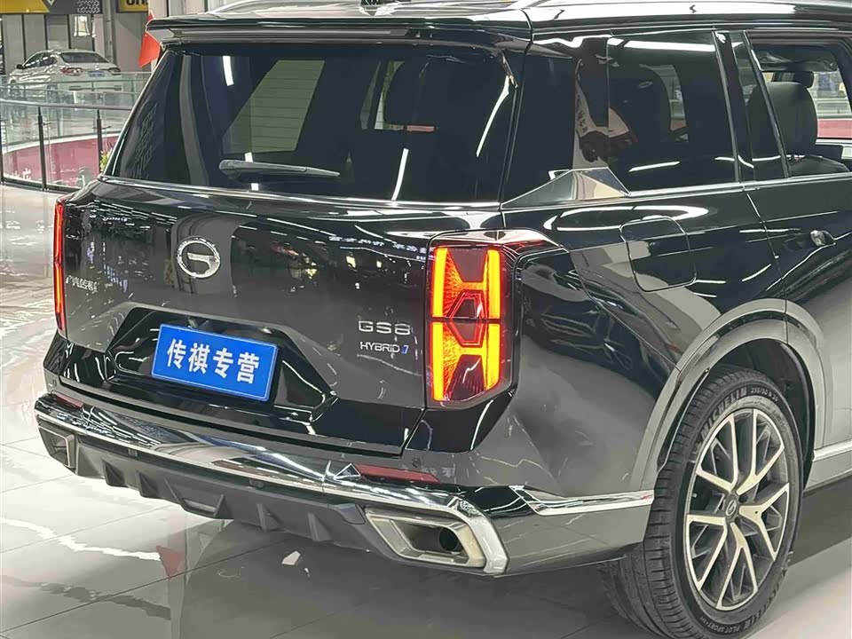 Trumpchi Trumpchi GS8