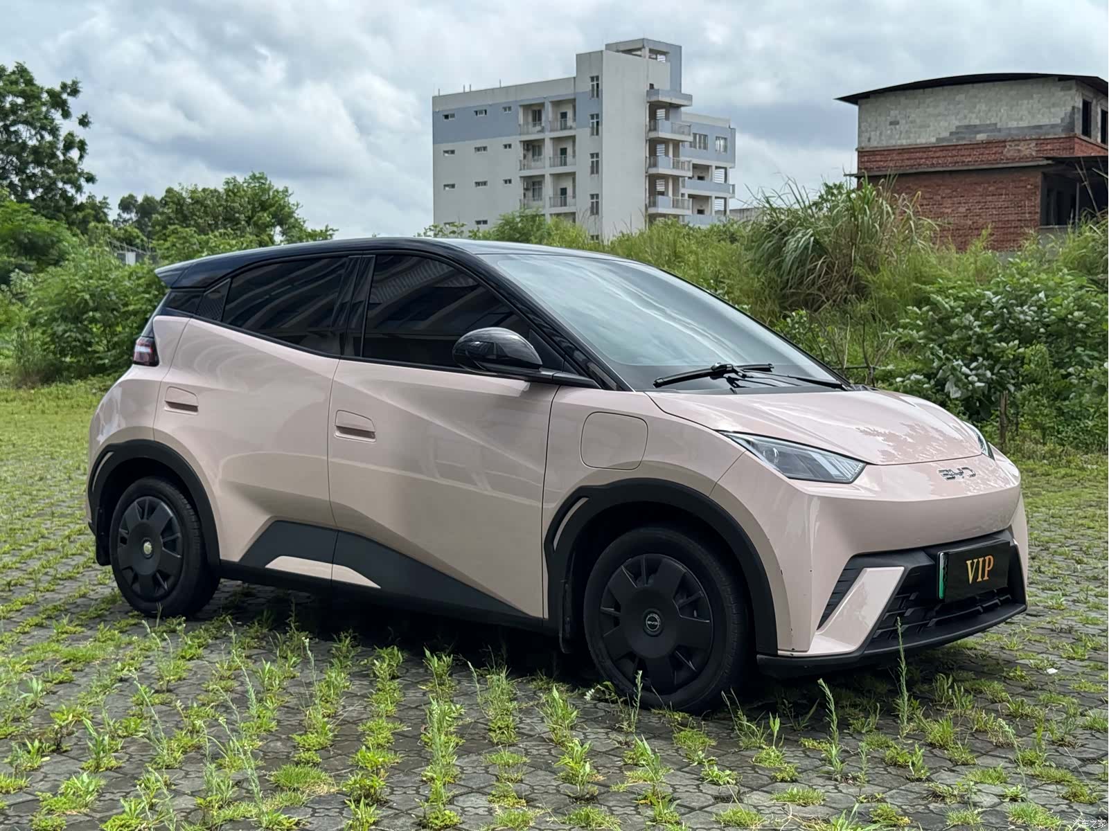 BYD Seagull, 2024 3