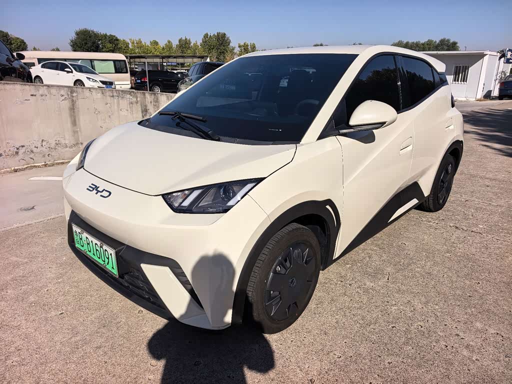 BYD Seagull