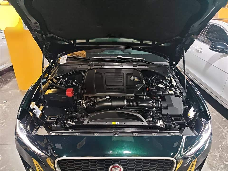 Jaguar XEL Jaguar XEL