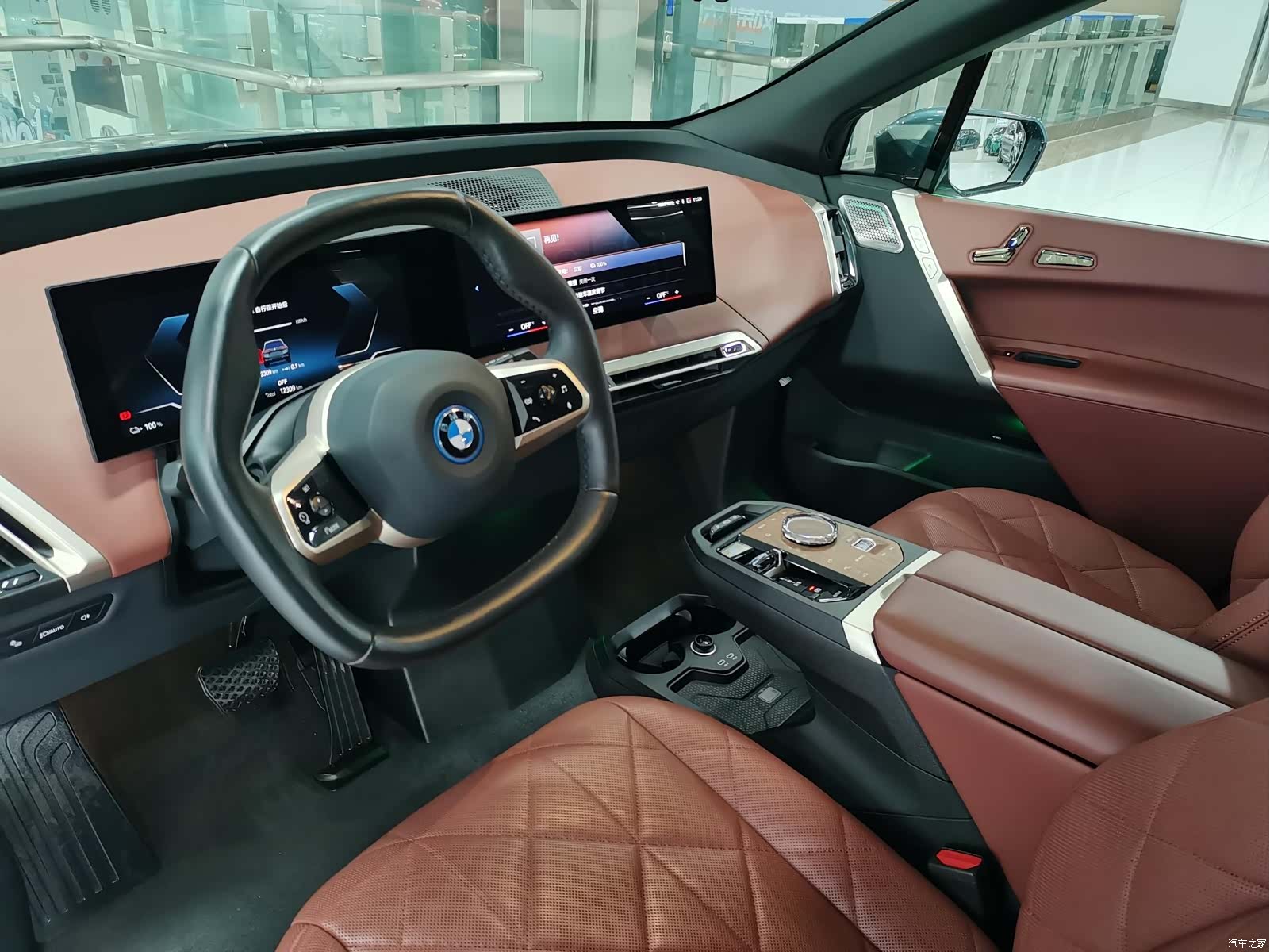 BMW iX, 2024 13