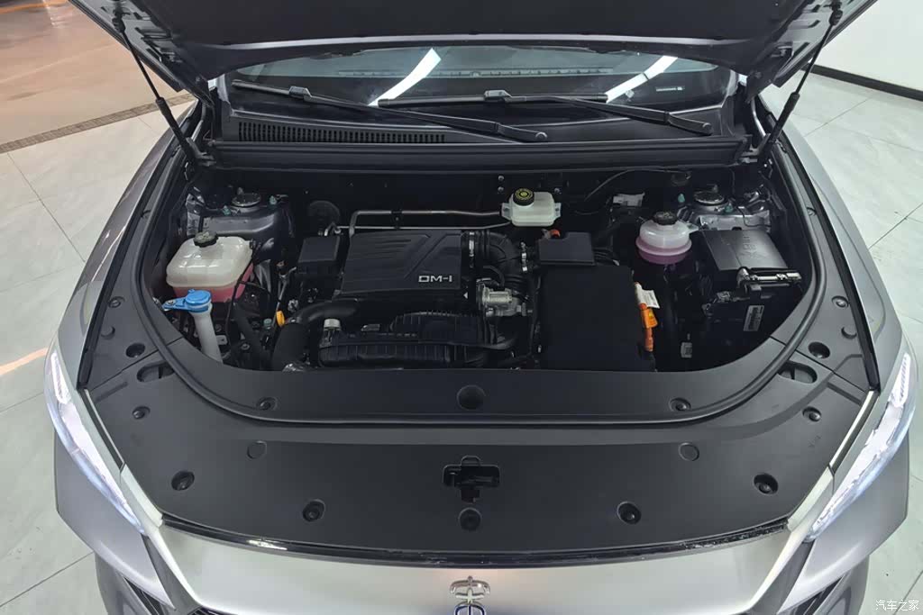 BYD Song, 2024 10